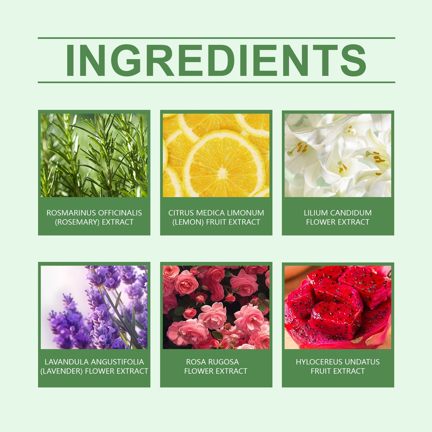 OceAura Shower Bath Bomb Ball – Moisturizing Plant-Scented Body Cleanser with Colorful Fizzing Fragrance